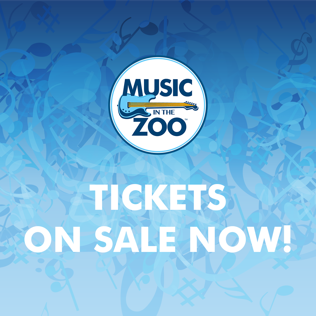 Music in the Zoo 2019